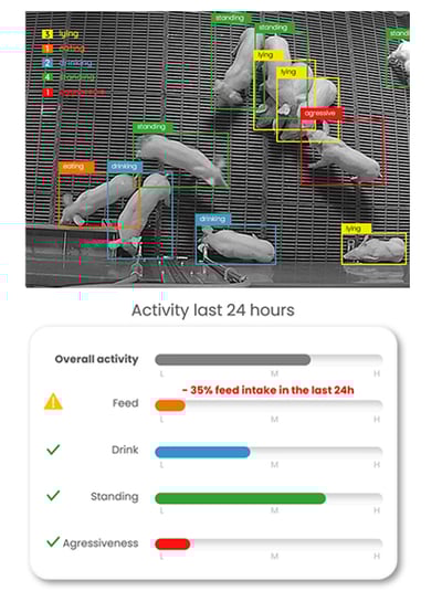 Dilepix-pig-activity-1