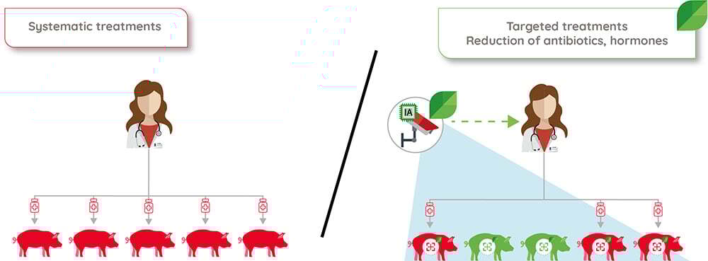 Pig-targeted-treatments-dilepix