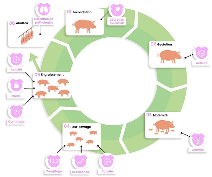 dilepix-schema-module-porc-FR