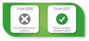 module-insemination-truie-dilepix