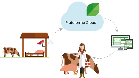 plateforme-logicielle-cloud-dilepix