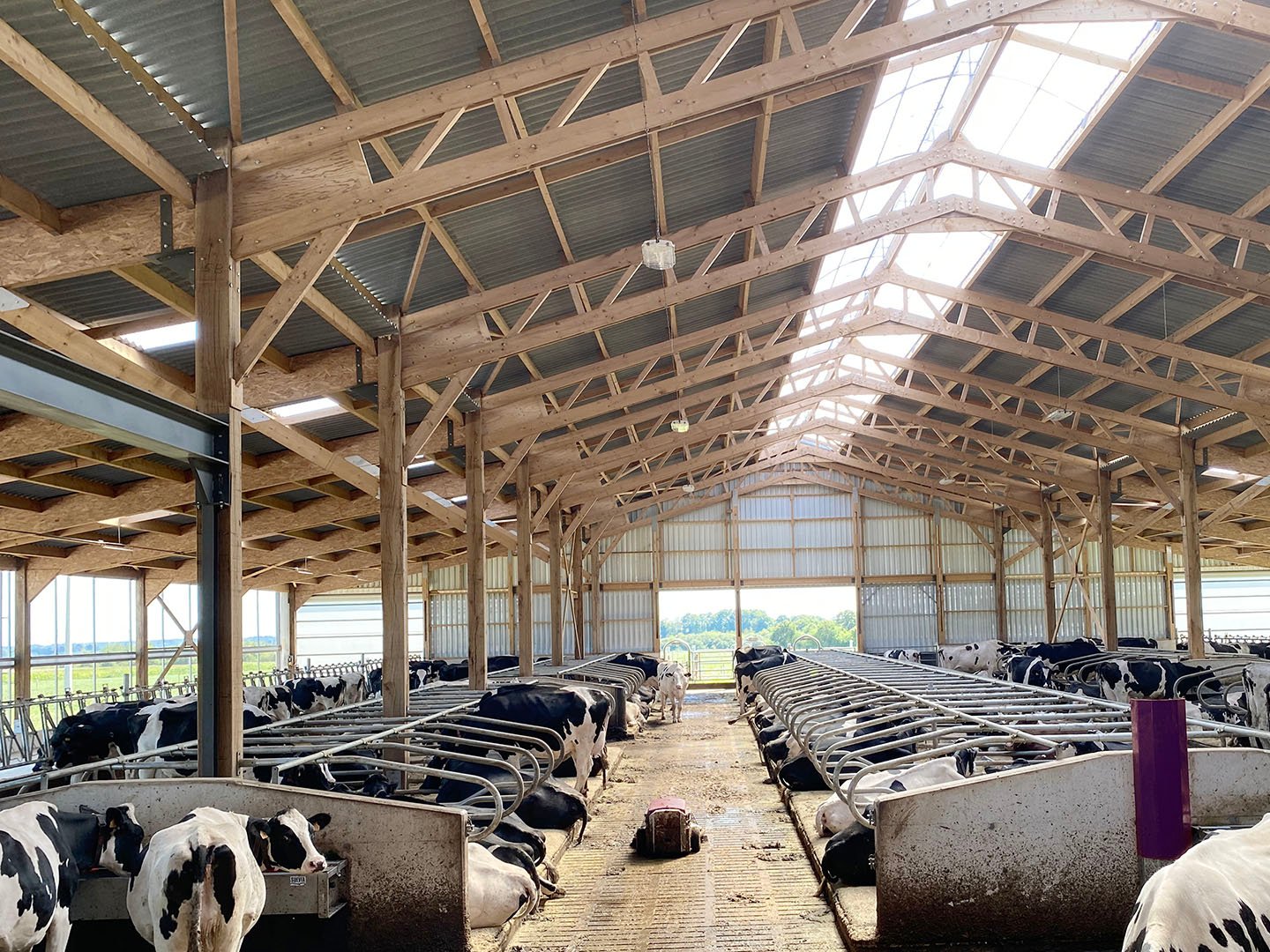 computer vision for animal welfare