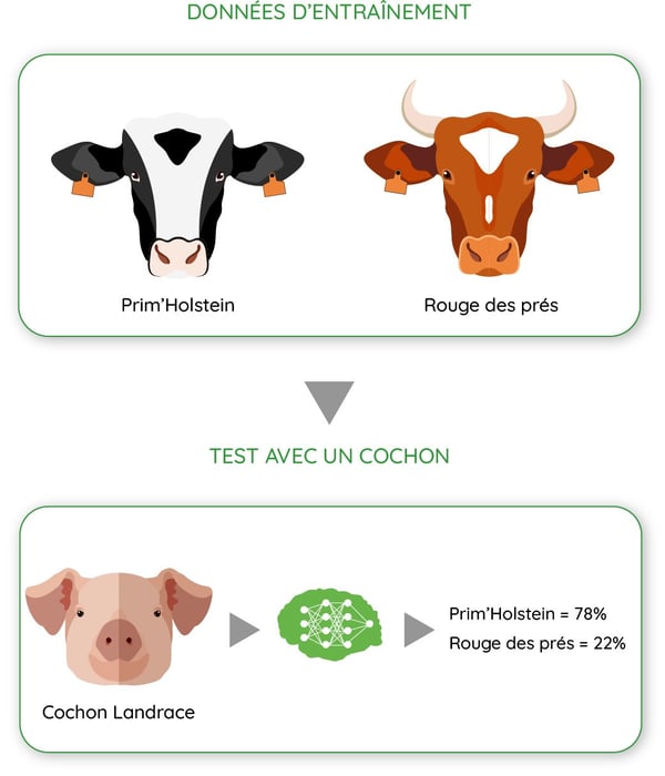 schema-apprentissage-supervisé-elevage-Dilepix