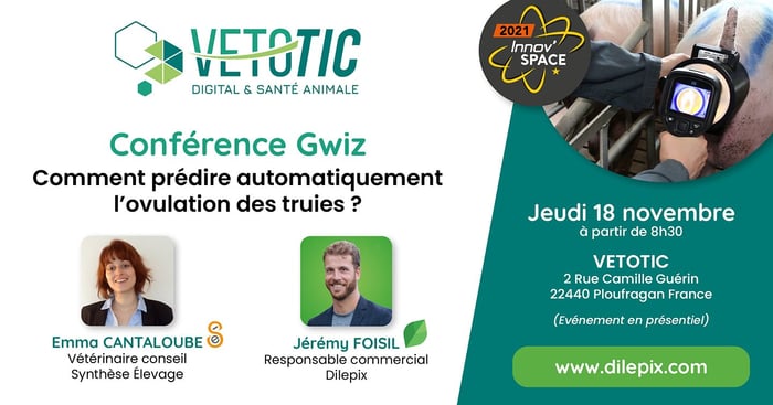 vetotic-gwiz-dilepix