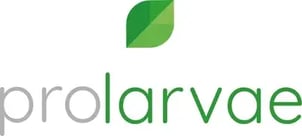 Prolarvae