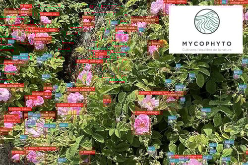 projet-mycoagri-dilepix-mycophyto