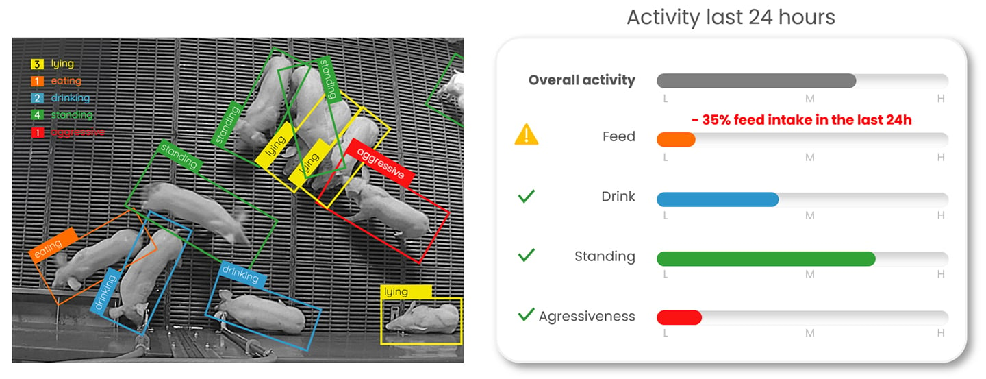 Dilepix-pig-activity-detection