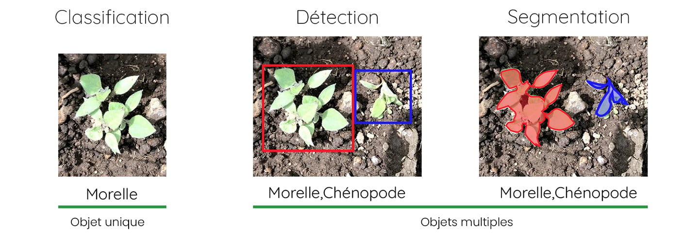 schema-classification-detection-segmentation-Dilepix