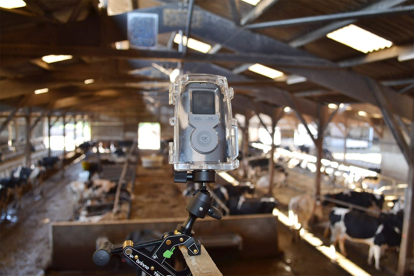 camera-surveillance-automatique-batiment-bovins