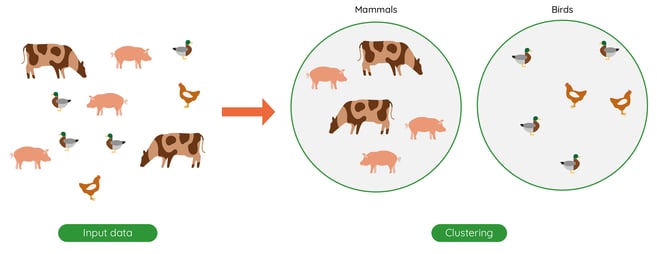 clustering