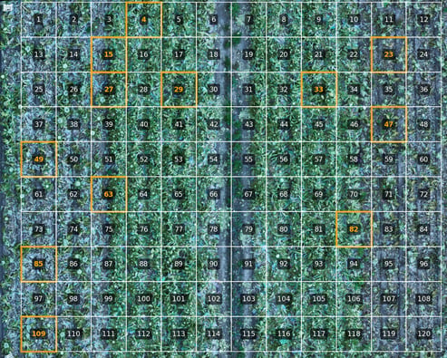 sampled_patches_crop