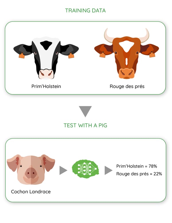 schema supervised learning in agriculture