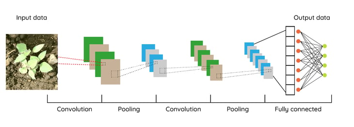 schema-convolutional-neural-network