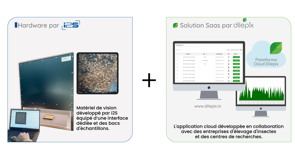 Dilepix and I2S developed a larvae counting solution