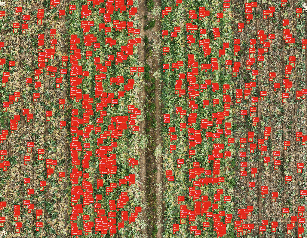 targets_crop