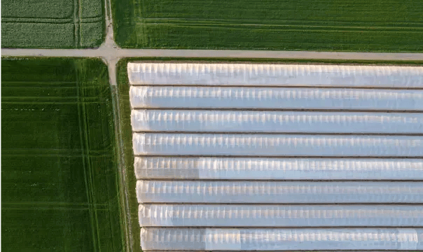 Photo d'une exploitation