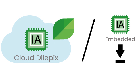 Cloud Dilepix or IA embedded
