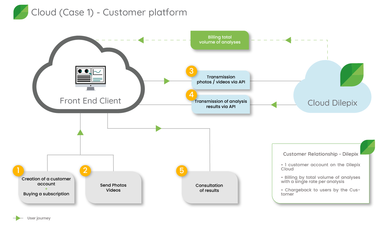 Dilepix Cloud scenario 1 customer platform