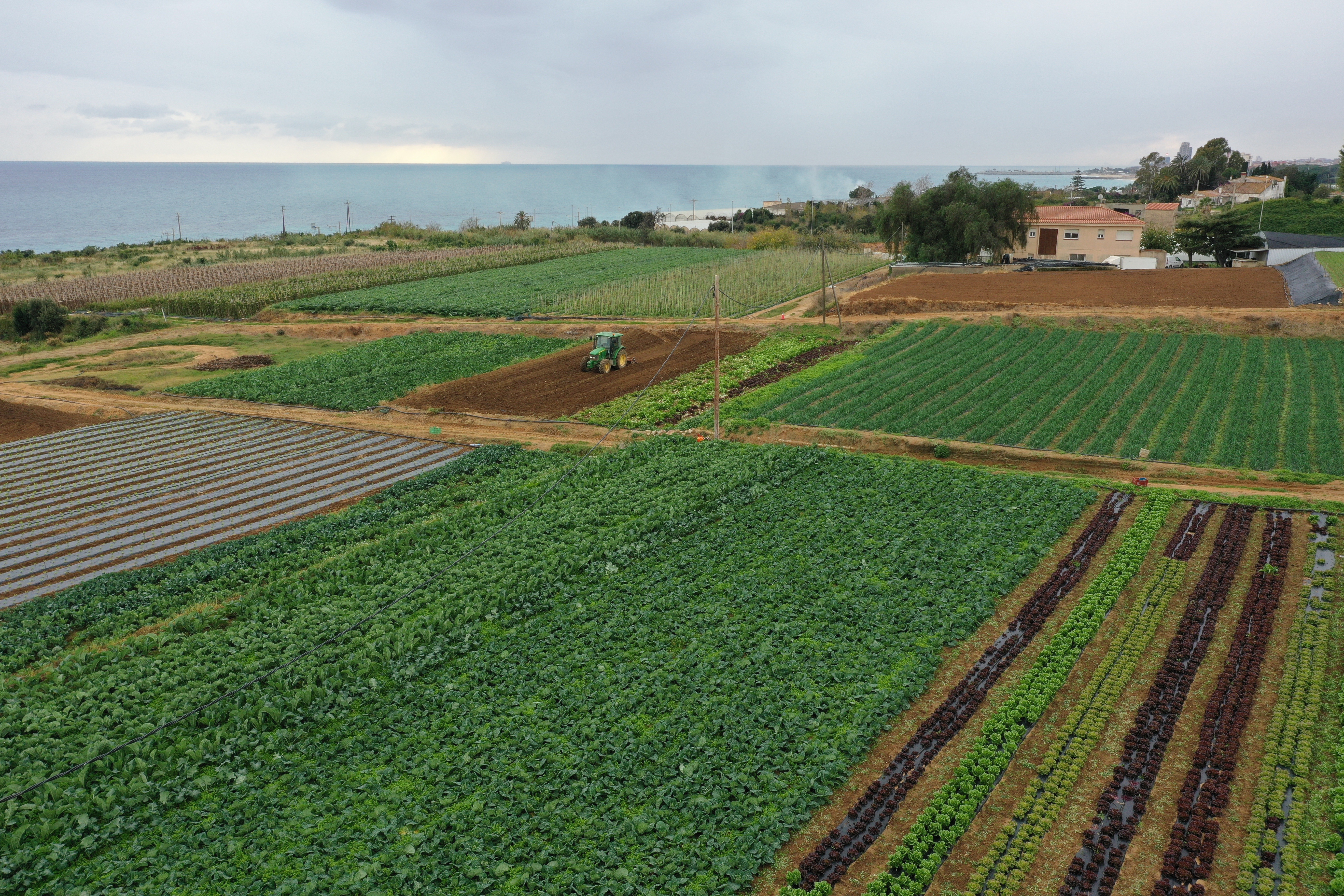 DJI_0233
