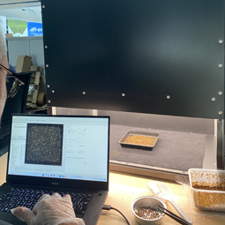 Dilepix and I2S created an automatic larvae counting hardware