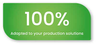 Insects_solution_adapted