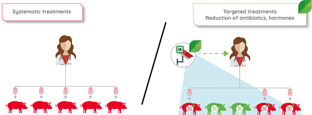 Pig-targeted-treatments-dilepix