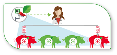 Porc-reduction-antibiotiques-dilepix