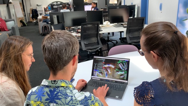 pig-activity-inrae-dilepix-sowell