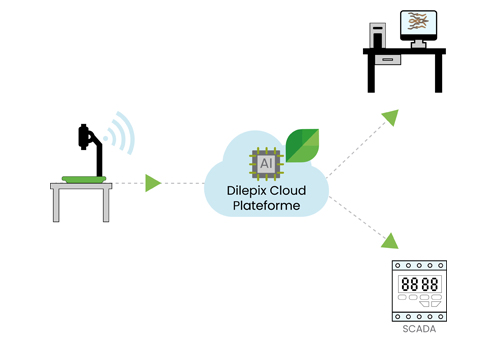 Schema-scada_webapp-insectes-dilepix