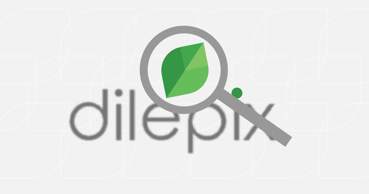 Que s'est-il passé pour Dilepix en 2021 ?