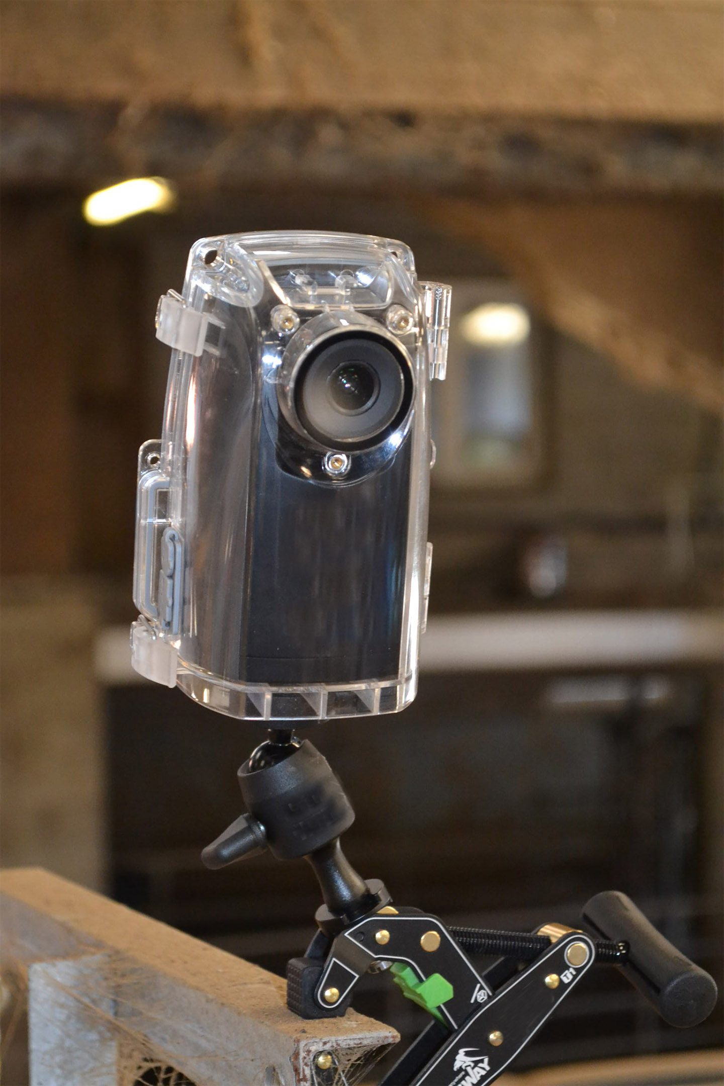 camera-detection-breeding