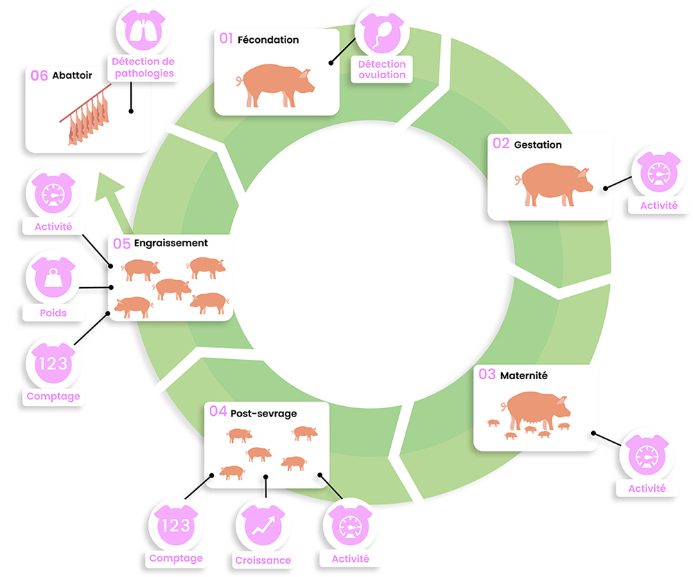 dilepix-schema-module-porc-FR