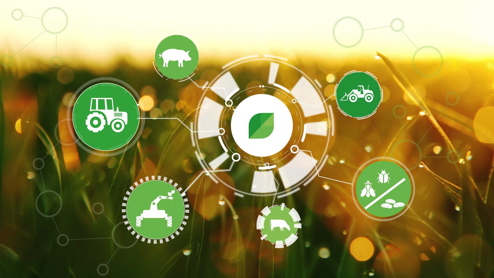 dilepix-picto-competences