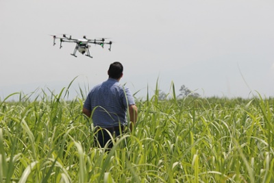 Dilepix AI technologies to make precision agriculture accessible 