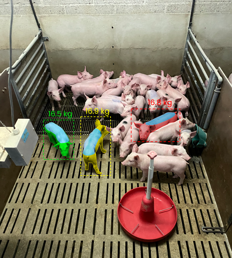 camera-detection-breeding