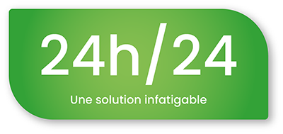 insectes-solution-24h-24h-dilepix