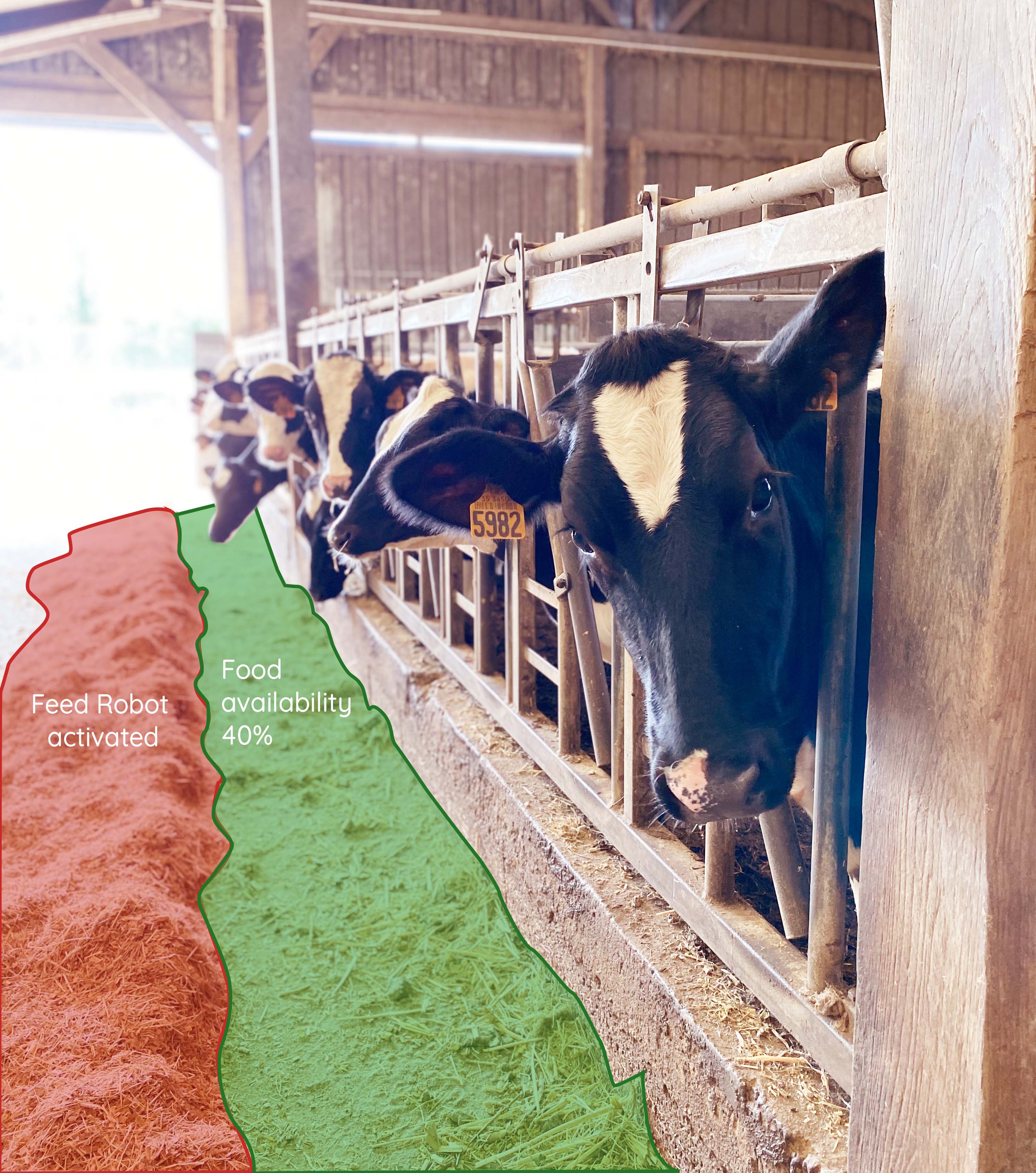 livestock_robotics_EN