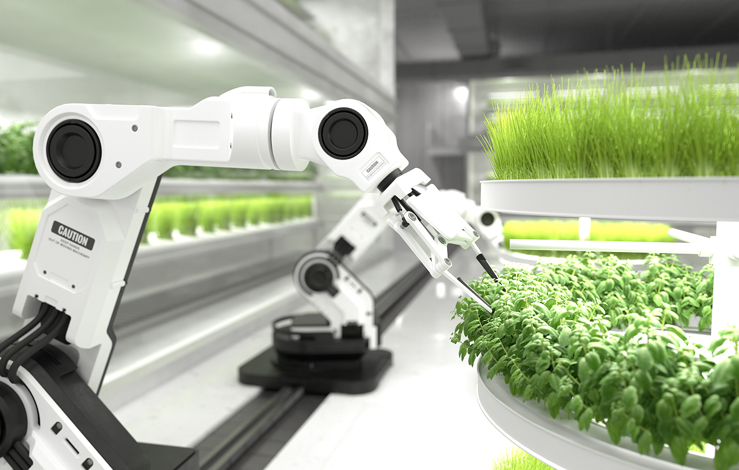 robotique-agricole-Dilepix