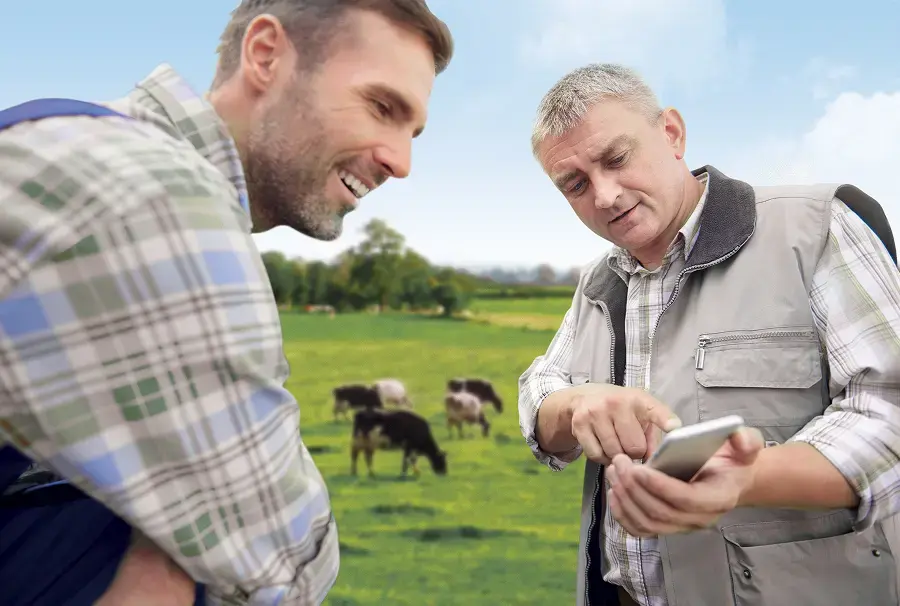 Capteurs connectés : comment surveiller son troupeau en temps réel ?